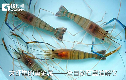 鱼、贝、虾