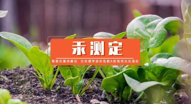 如何测定蔬菜中微量汞？石墨消解-原子荧光光谱法测定